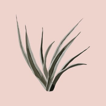 Snake plant sticker, houseplant botanical | Free PSD - rawpixel