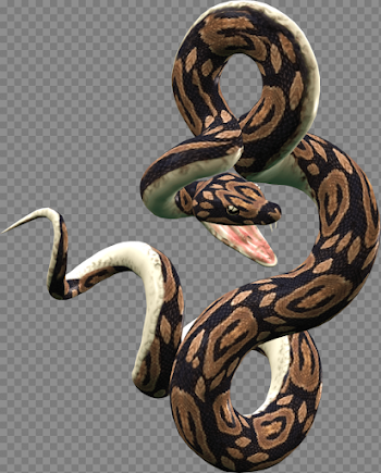 Snake Png Image Picture Download