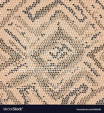 Snake skin vector image