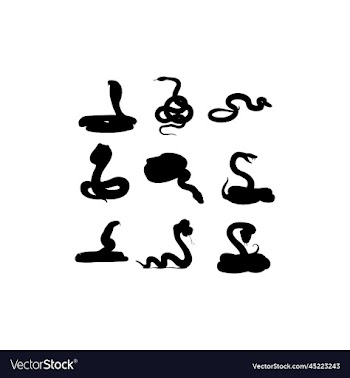 snake viper animal collection silhouette design