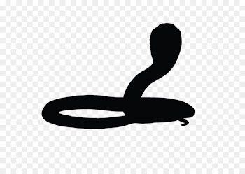 Snakes King cobra Image Silhouette - silhouette 