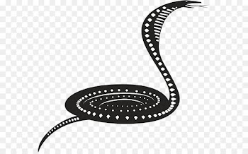 Snakes King cobra Portable Network Graphics Clip art Vector graphics - bk vector 