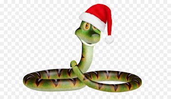 Snakes Reptile Grass snake Christmas Day New Year - bluet background 