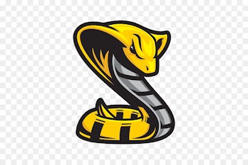 Snakes Reptile Image Summer Hockey Cobra - false water cobra attak 