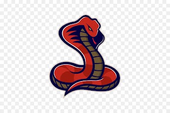 Snakes, Reptile, King Cobra, Snake, Serpent PNG