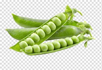 Snap pea Lentil Vegetable, Pea transparent background PNG clipart
