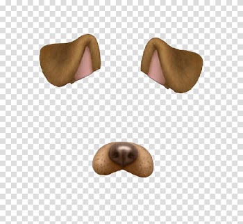 Snapchat application, Dog Puppy Snapchat Cat We Heart It, Dog ear dog nose sticker transparent background PNG clipart