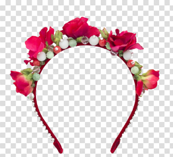 Snapchat Flower Crown Hd
