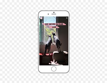 Snapchat Live Commerce Blog Boomerang - others 
