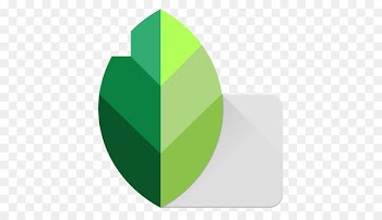Snapseed Android - android 