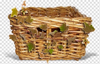 Sneakers Email Cat , wooden basket transparent background PNG clipart