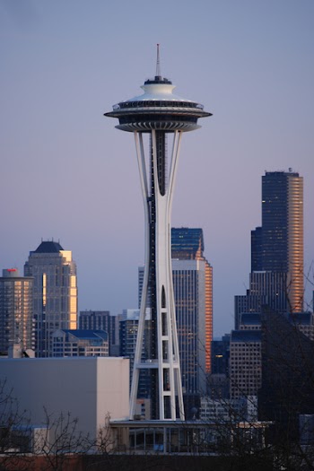 SNeedle.jpg