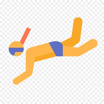Snorkeling Underwater diving Scuba diving Computer Icons Palancar Reef - doug icon 