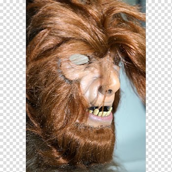 Snout Fur Human, mid autumn ceremony transparent background PNG clipart