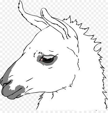 Snout Whiskers Sketch Illustration Line art - avalon poster 