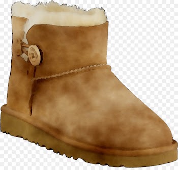 Snow boot Shoe Fur -  