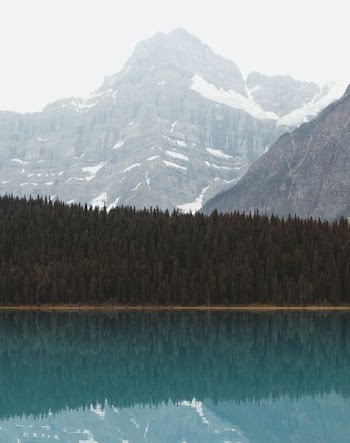 snow-capped mountain near trees and body of water during daytime