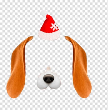 Snow christmas , brown and white dog and Santa hat illustration transparent background PNG clipart