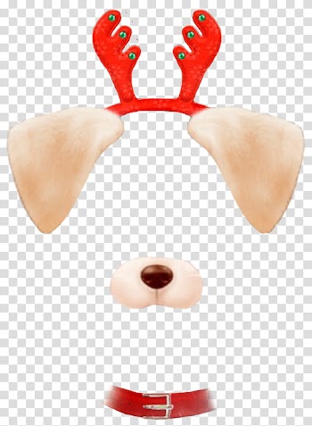 Snow christmas , dog transparent background PNG clipart