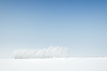 snow-coated field under clear blue sky during daytime