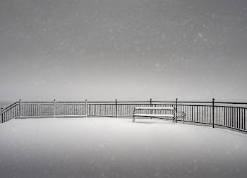 Snow Covered Bench on a Snowy Day