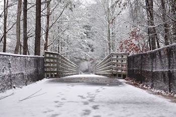snow covered bridge in between lined trees
