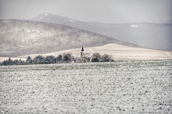 Snow Covered Field