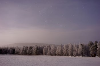 snow covered field with tress during night time
