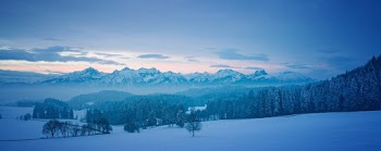 Snow Covered Ground On Winter's Day