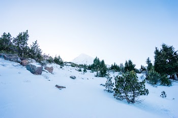 Snow Covered Hill