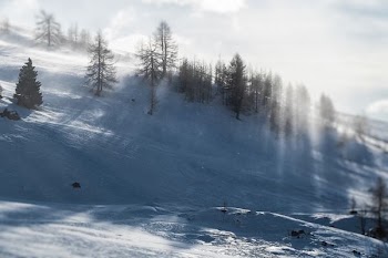 snow covered hill with trees