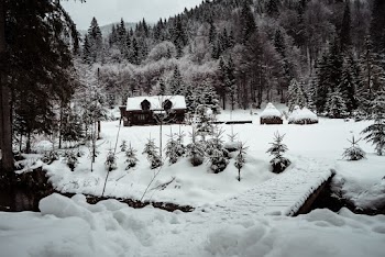 Snow Covered House 
