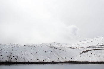 snow-covered land near body of water