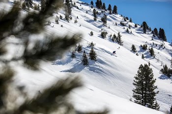 snow covered land under sunny sky