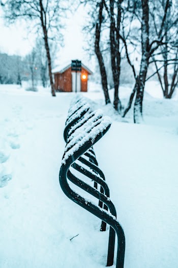 Snow Covered Metal Fence