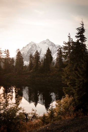 snow covered mountain