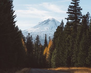 snow covered mountain near forest under blue sky