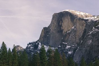 snow-covered mountain near green trees
