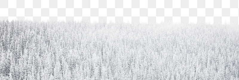 Snow covered png woodland border, | Free PNG - rawpixel