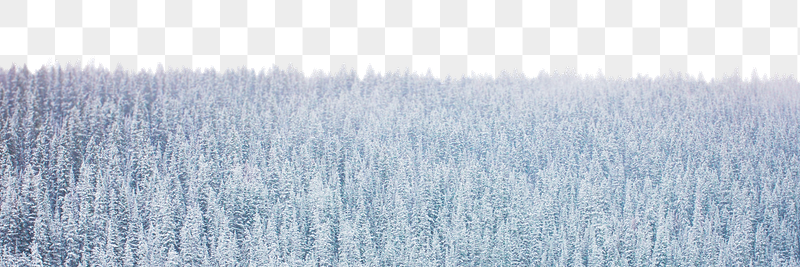Snow covered png woodland border, | Free PNG - rawpixel