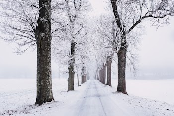 Snow covered road