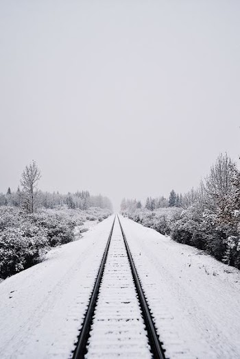 snow covered train railroad between trees