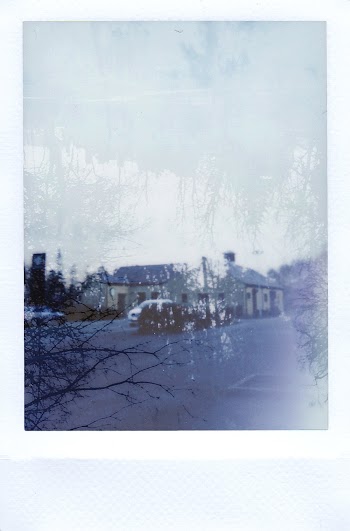 Snow Covered Trees and Houses