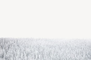 Snow covered woodland border, nature | Free PSD - rawpixel