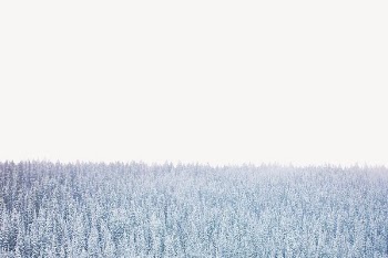 Snow covered woodland border, nature | Free PSD - rawpixel