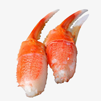 Snow Crab Crab Claw Clasp Png Free, Crab Claw, Product Kind, Crab ...