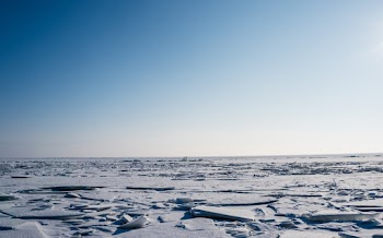 Snow Field