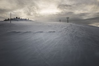 snow field