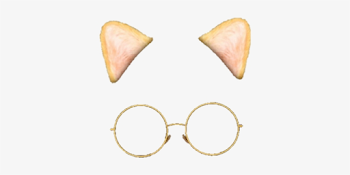 snow #filter #cat #glasses - Cat Filter Png - Free Transparent PNG ...