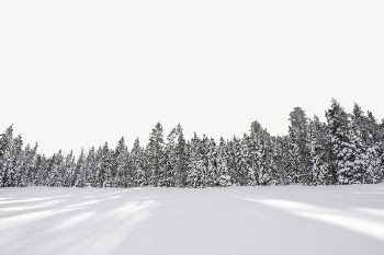 Snow forest border collage element, | Free PSD - rawpixel
